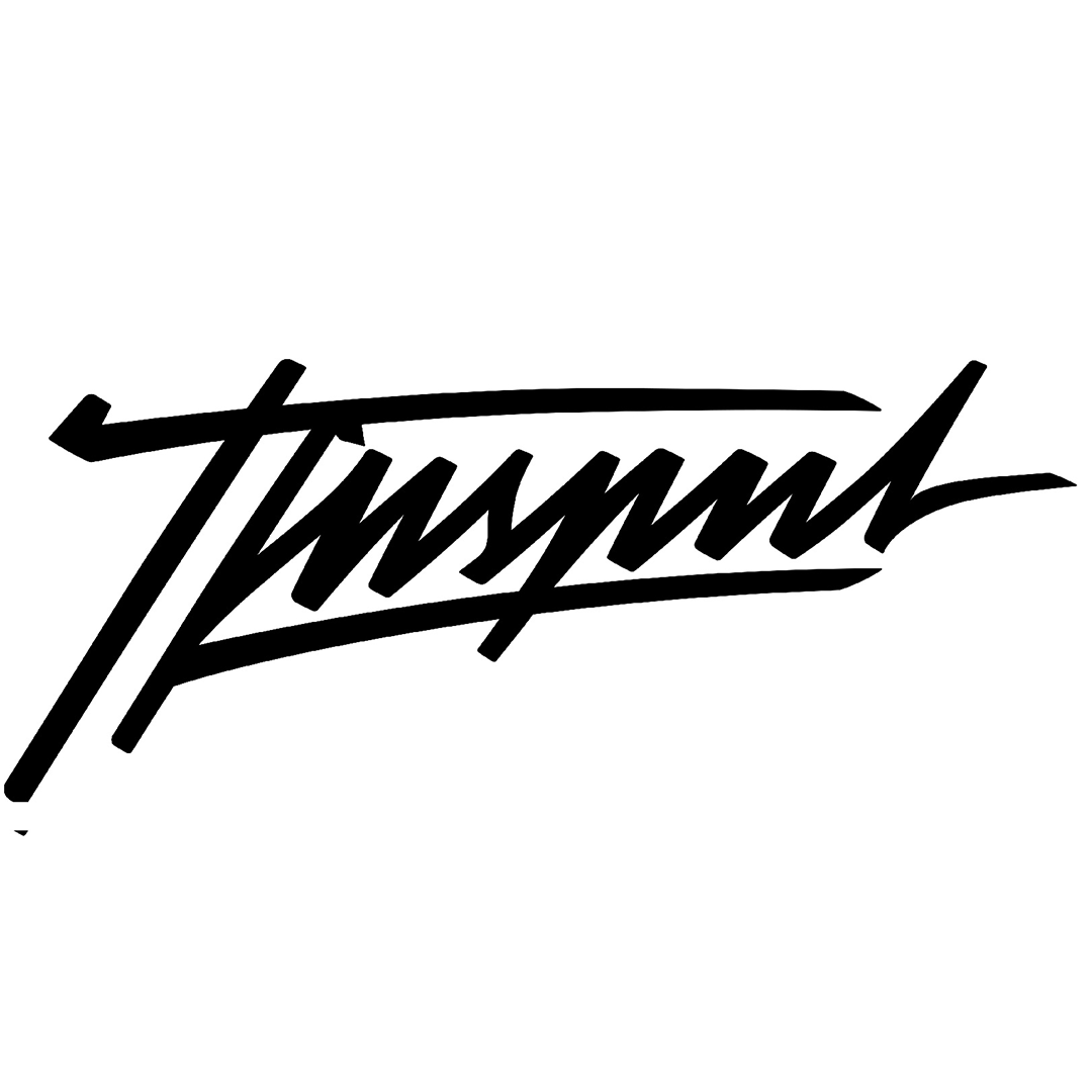 Autoaufkleber - TFNSPNT® - Schreibschrift
